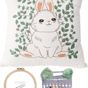 Easter Embroidery Pillow Kit with Rabbit and Eucalyptus Design, 18×18", for Adult Beginners