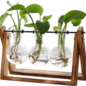 3-Bulb Glass Plant Terrarium with Wooden Stand and Metal Swivel Holder for Home or Office Decor
